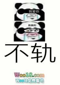 书名:不轨